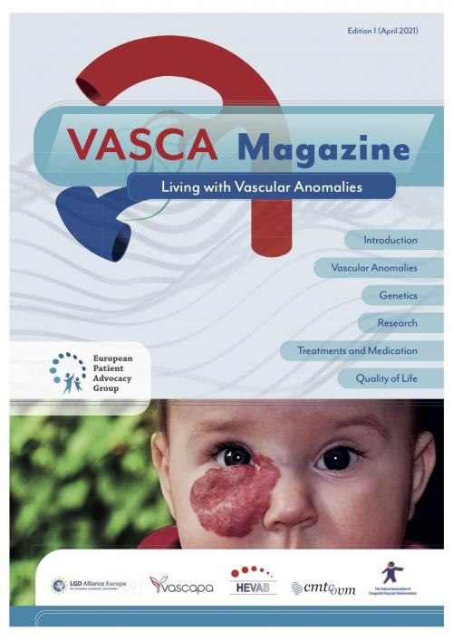 VASCA Magazine Page1